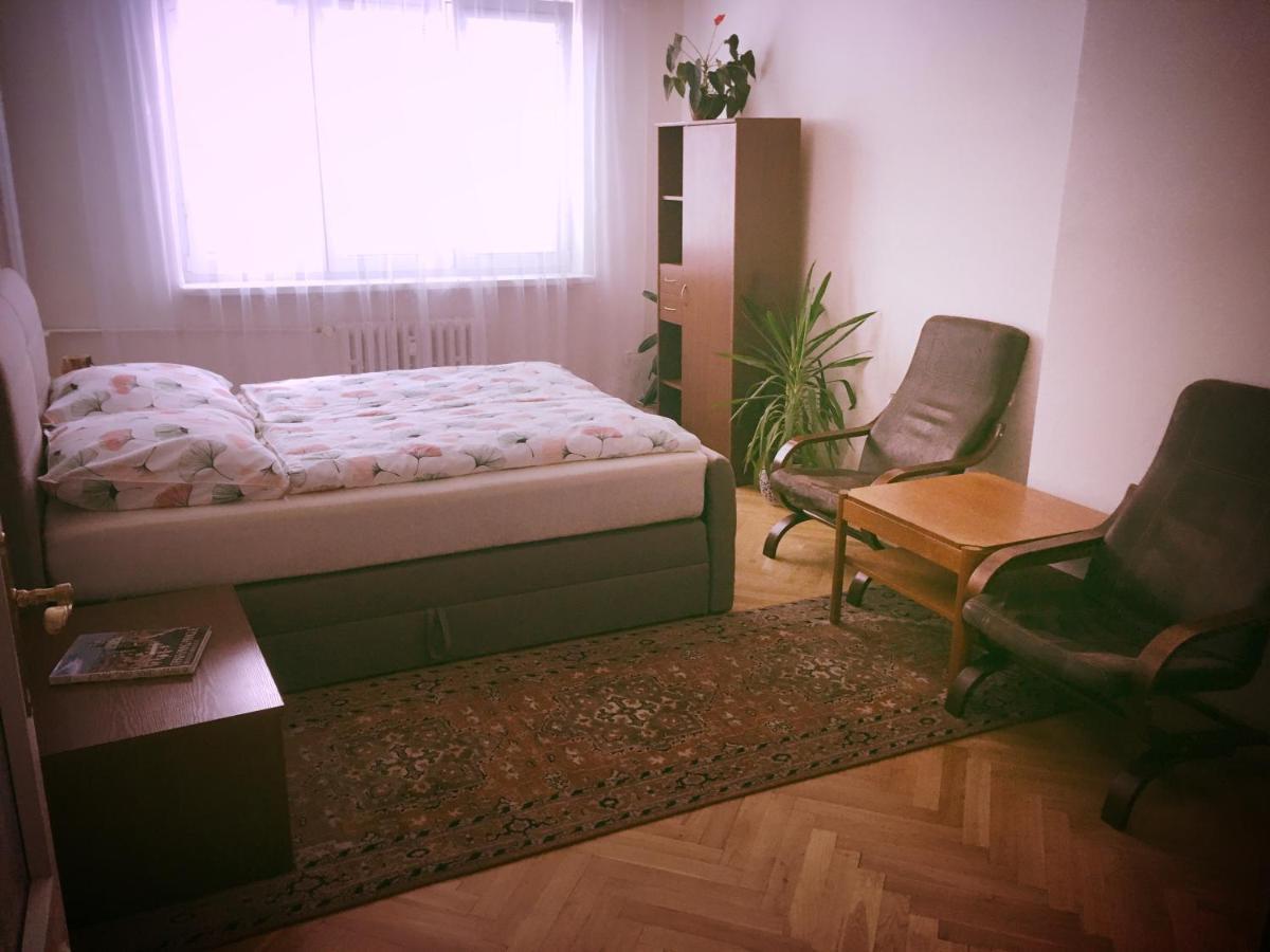 Apartment Anna Vysehrad براغ المظهر الخارجي الصورة