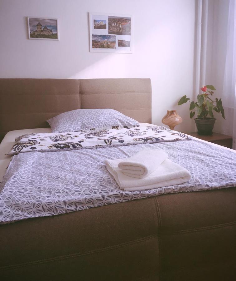 Apartment Anna Vysehrad براغ المظهر الخارجي الصورة