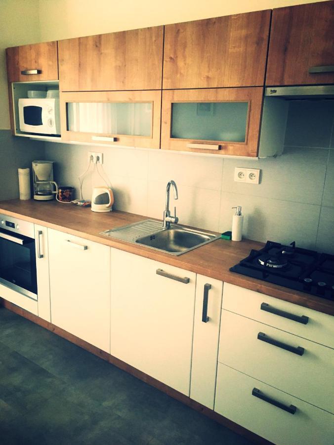 Apartment Anna Vysehrad براغ المظهر الخارجي الصورة